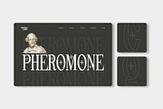 Pheromone Ultimate | Modern Classic, a Serif Font by Lettertype Studio (Thumbnail 11 of 20)