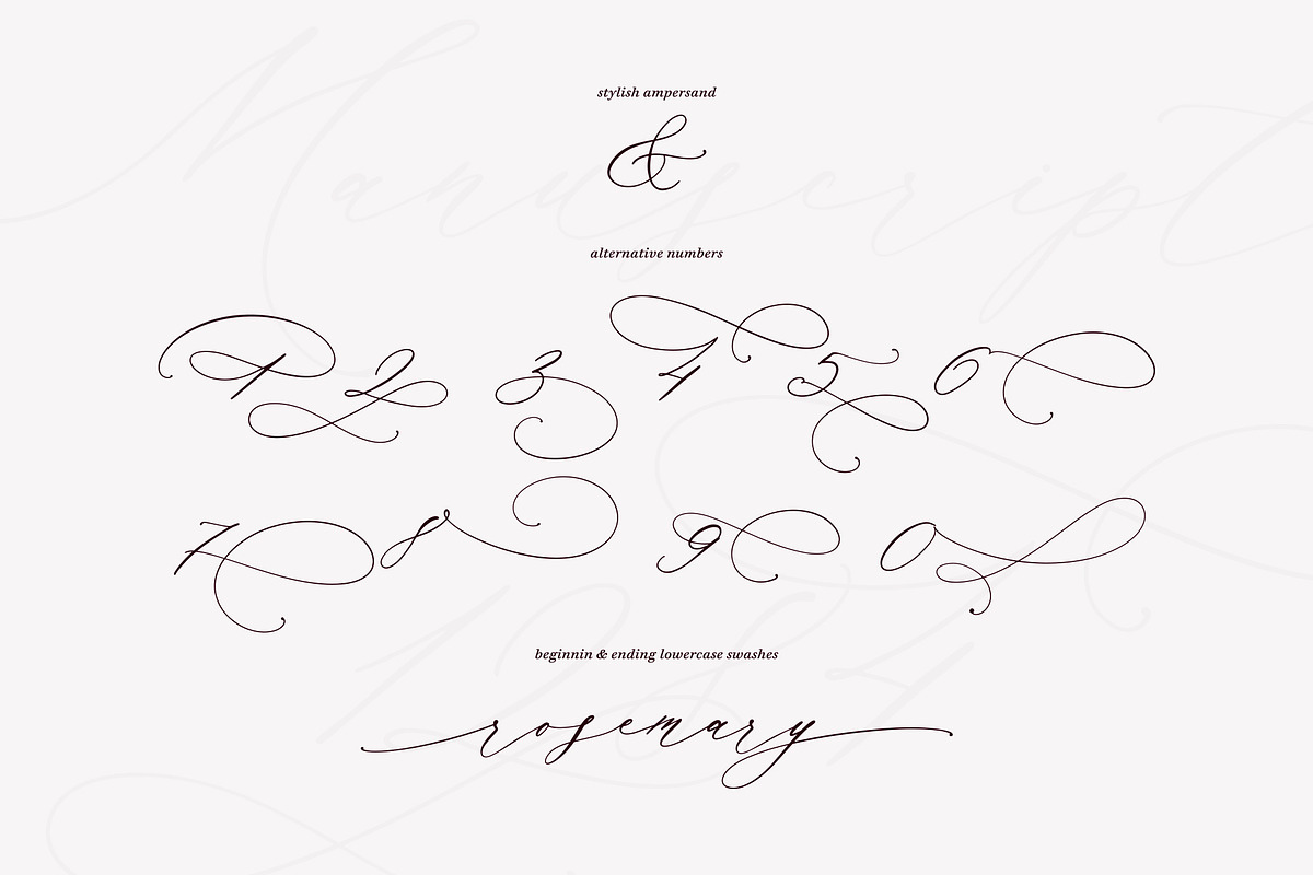 Manuscript 1284 // Calligraphy Font, a Script Font by PeachCreme (Photo 11 of 13)