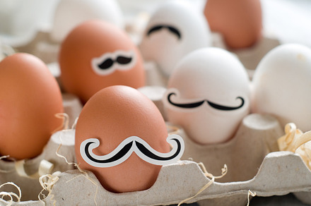 Hispter Eggs Stock Picture preview 5