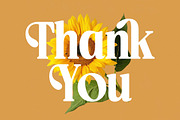 Ordinal Modern Display Serif Font, a Serif Font by timelesstype.co (Thumbnail 20 of 20)