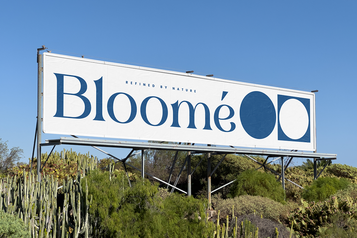 Bonrage Modern Elegant Serif Font, a Serif Font by Vadovastd (Photo 7 of 9)