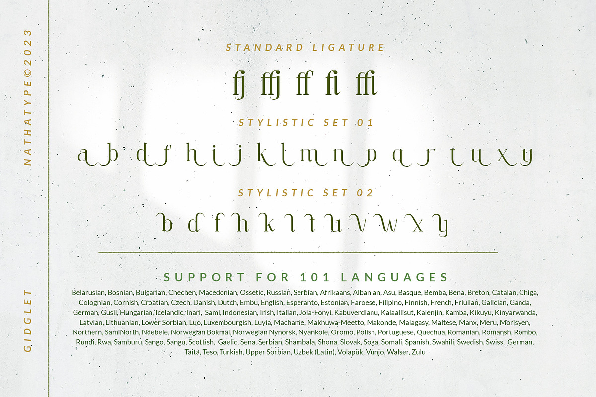 Gidglet, a Serif Font by Nathatype (Photo 10 of 10)