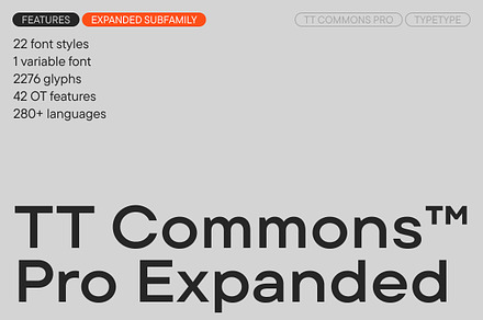 TT Commons Pro Expanded, a Sans Serif Font by TypeType