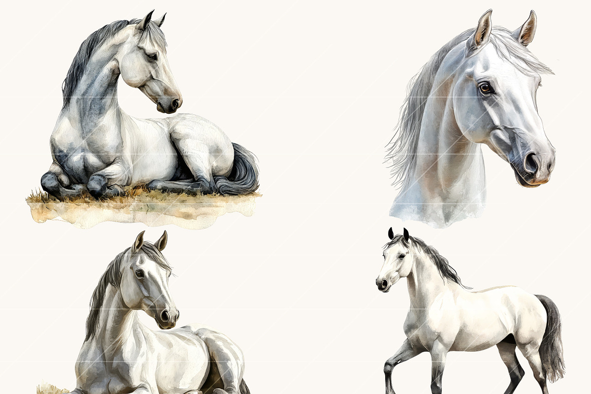 Watercolor Horses Clipart Bundle, an Animal Illustration by Design Scotch (Photo 6 of 8)