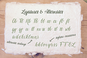 Alpenglueck - a handwritten font, a Script Font by Laura Heidi (Thumbnail 14 of 15)