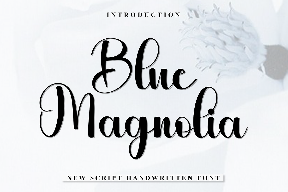 Blue Magnolia, a Handwritten Font by InermediaSTUDIO (Photo 1 of 8)