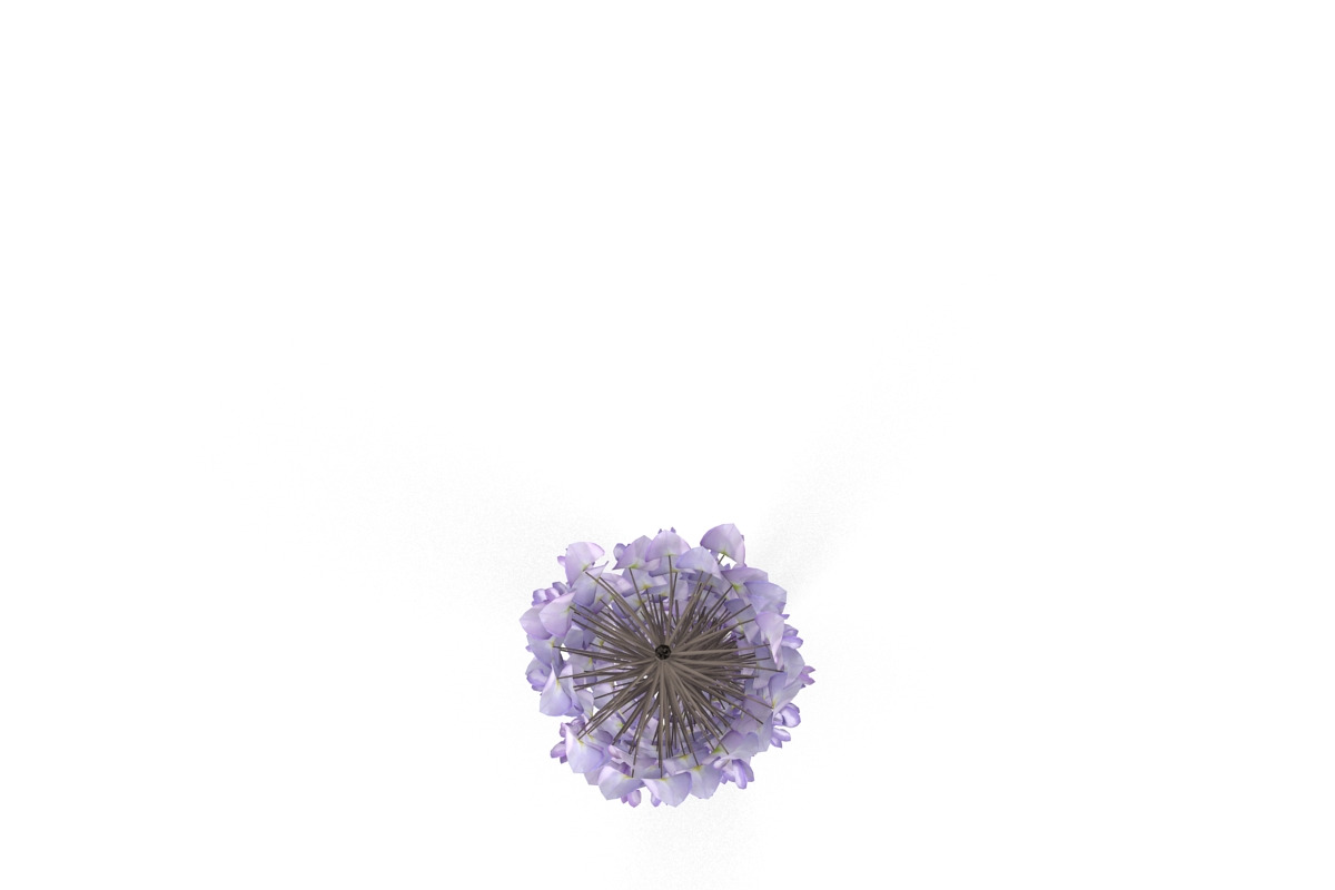 Wisteria, an Environmental 3D Model by AndrewWhite (Photo 3 of 10)