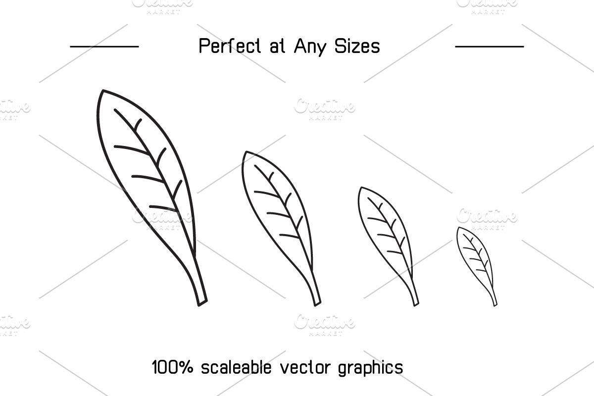 Bundle of Leaf Line Illustrations, an Illustration by Designfour (Photo 7 of 7)