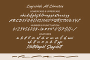 Copperhide - Brush Font, a Handwritten Font by ErgibiStudio (Thumbnail 10 of 10)