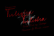 Tulisha | Monoline & Brush Script, a Script Font by Jadatype.id (Thumbnail 1 of 7)