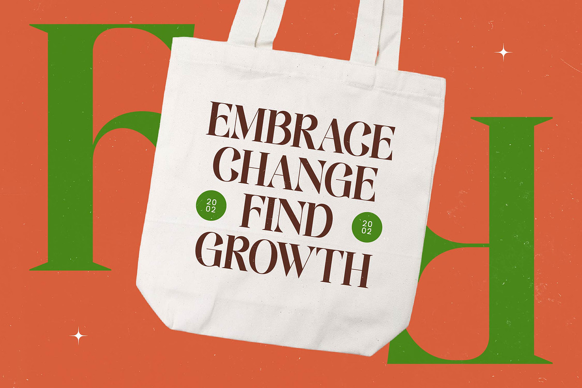 Single Robusta Modern Display Serif, a Serif Font by timelesstype.co (Photo 9 of 20)