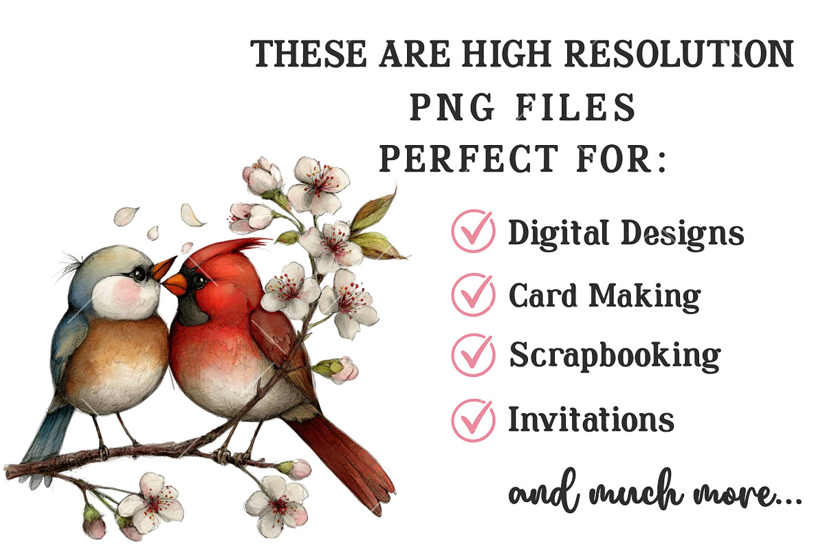 Valentine Couple Birds Clipart, an Illustration by OK Design (Photo 6 of 6)
