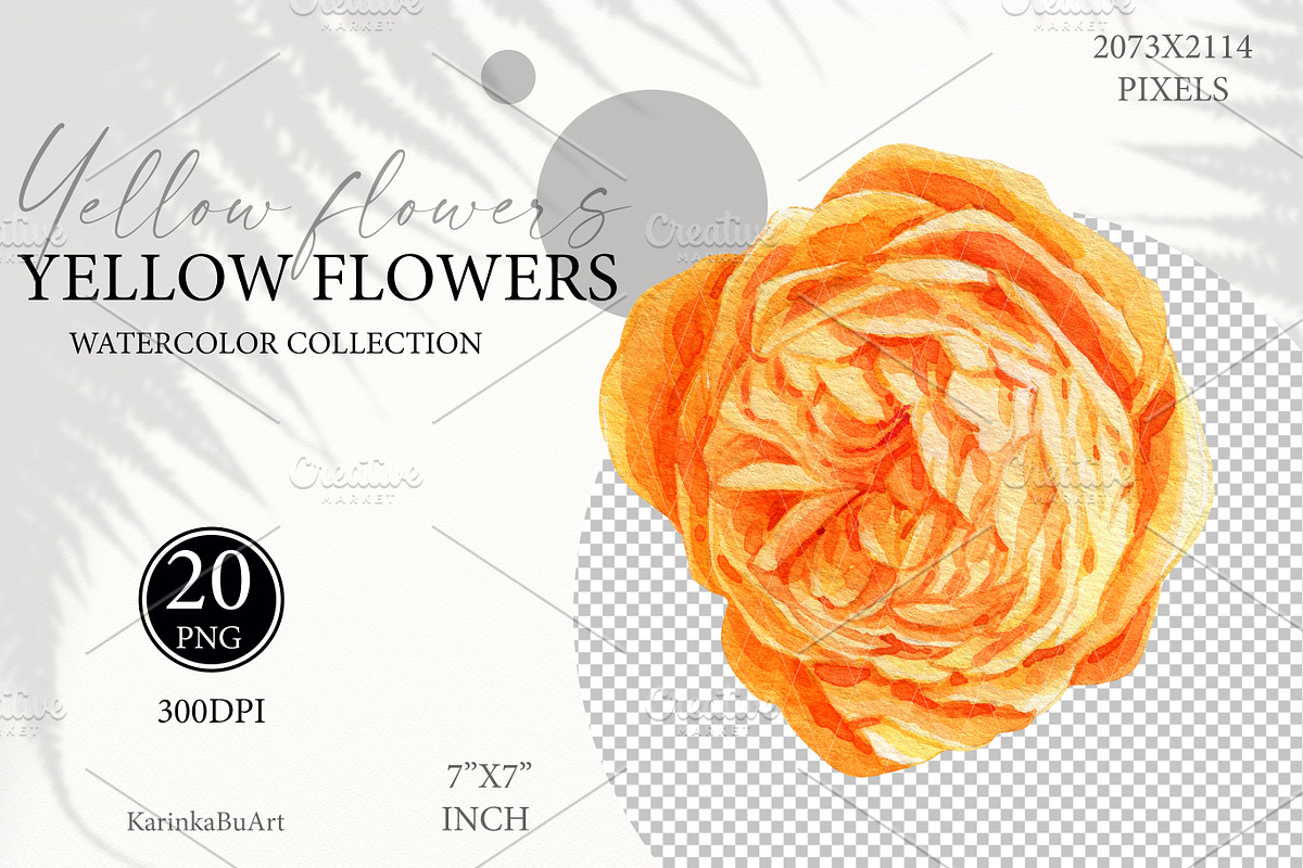 Watercolor Yellow flowers wildflower, an Object Graphic by KarinkaBU (Photo 6 of 7)