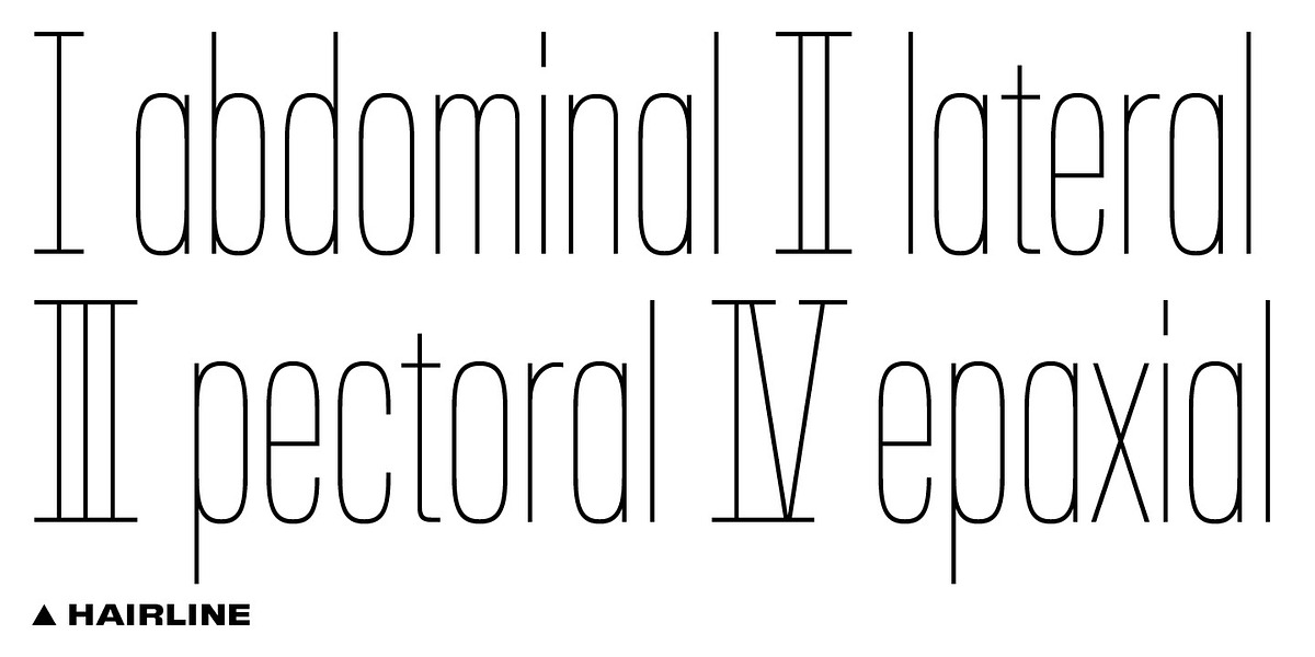BB Torsos™ Pro, a Sans Serif Font by Bold Studio (Photo 16 of 17)