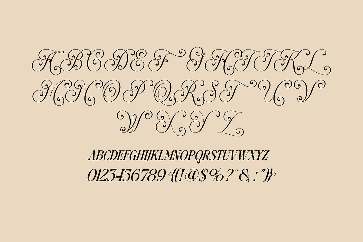 Clarify - Elegant Script Serif, a Script Font by Luna Shop (Photo 4 of 8)