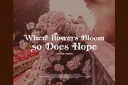 Morina Borick Elegant Ligature Serif, a Serif Font by Alfinart (Thumbnail 3 of 10)