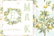 Lemon Watercolor Amalfi Collection, a Decorative Illustration by WonderWonder (Thumbnail 5 of 18)