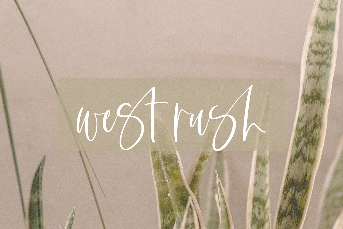 Stillness | Modern Script Font, a Script Font by KA Designs (Photo 9 of 14)