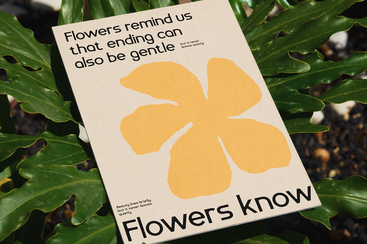 Slangky - Modular Display Sans, a Sans Serif Font by CuratedType Studio (Photo 9 of 10)