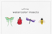 Watercolor Insects, an Animal Illustration by Stacey Shaller (Thumbnail 1 of 6)