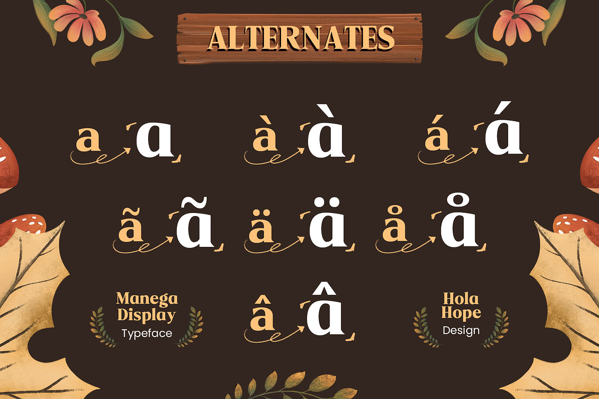 Manega | Vintage Serif Display Font, a Serif Font by Hole Hope Design (Photo 7 of 10)