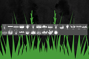 25 Grass Photoshop Stamp Brushes, a Brush Add-On by ArtistMef (Thumbnail 2 of 4)