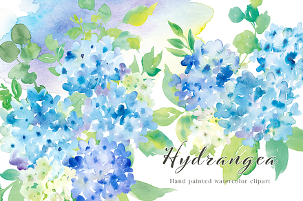 Hydrangea watercolor clipart set