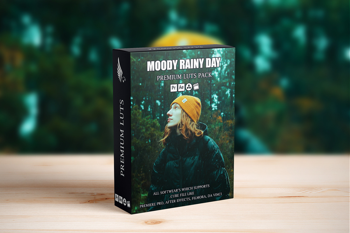 Cinematic Moody Rainy Day LUTs Pack, a Plug-in Add-On by AAA Presets (Photo 1 of 3)
