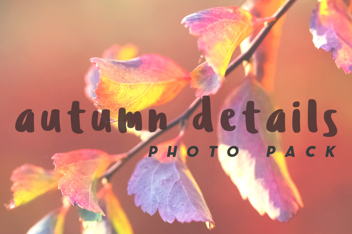 Autumn Details Photo Pack, a Templates & Theme by c l a r a X Y (Photo 1 of 3)