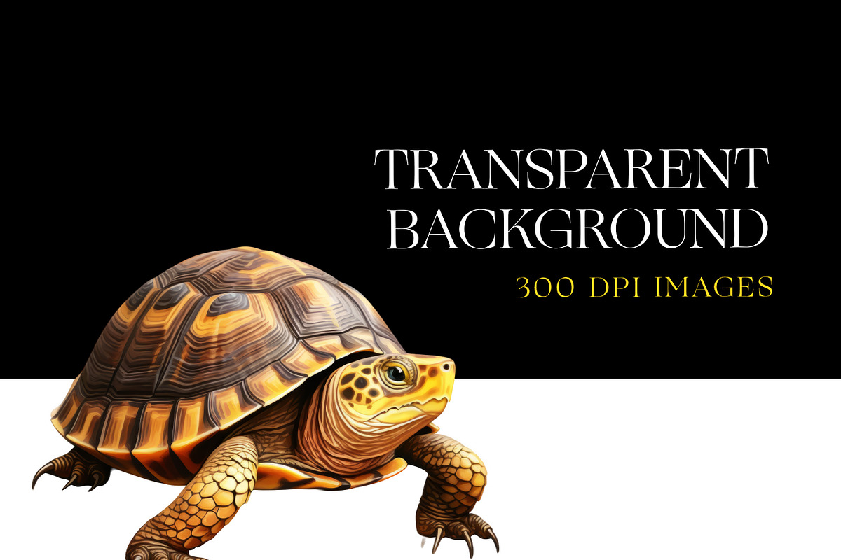 Turtle Illustration Clipart, Turtles, an Animal Illustration by BrushstrokeArtGB (Photo 6 of 9)