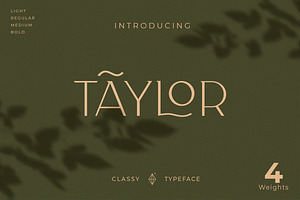 Classy Taylor Typeface