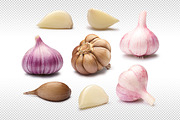 Garlic set, an Object Graphic by Hortimages (Thumbnail 1 of 3)