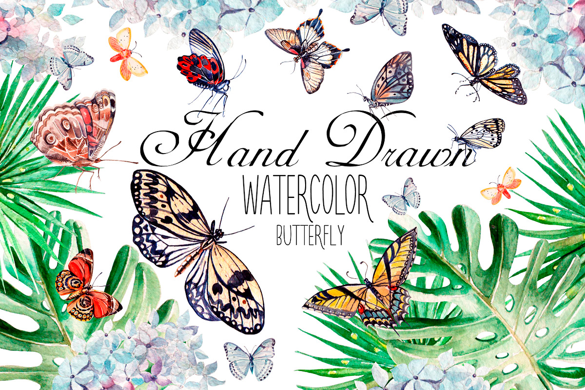 Beautiful watercolor butterflies, an Object Graphic by Knopazyzy (Photo 1 of 5)