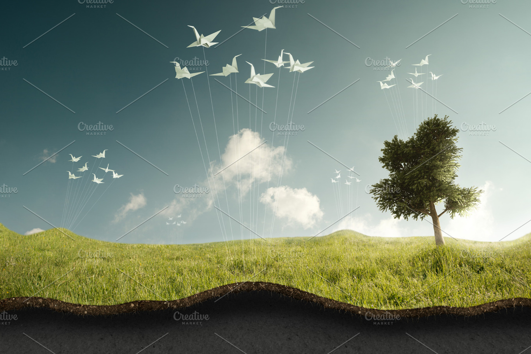 Crane and meadow, a Nature Photo by Giordano Aita Graphics
