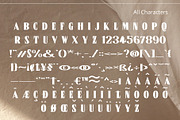 Norten – Serif Typeface, a Serif Font by Craft Supply Co. (Thumbnail 6 of 8)