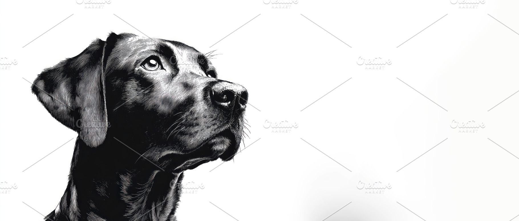 Detailed black labrador dog portrait in vintage engraved illustr, an Animal Photo by José Manuel Gelpi