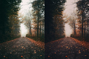 Fall - Autmun Photoshop Actions preview 6
