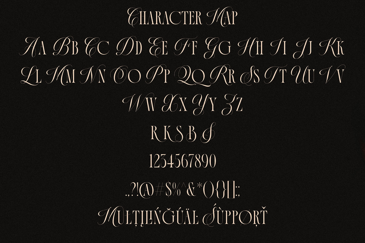 La Primera Ligature Serif, a Serif Font by Letteralle Studios (Photo 13 of 13)