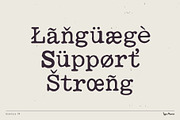 Bookface TM – Dynamic Grunge-y Type, a Slab Serif Font by Type Mania (Thumbnail 9 of 11)