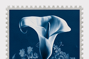 Lupa Co · Cyanotype Botanical Stamps, a Texture Illustration by milatovar (Thumbnail 7 of 18)