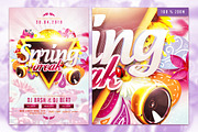 Spring V2 Break Flyer Template, a Flyer Template by InTheSky15 (Thumbnail 2 of 2)