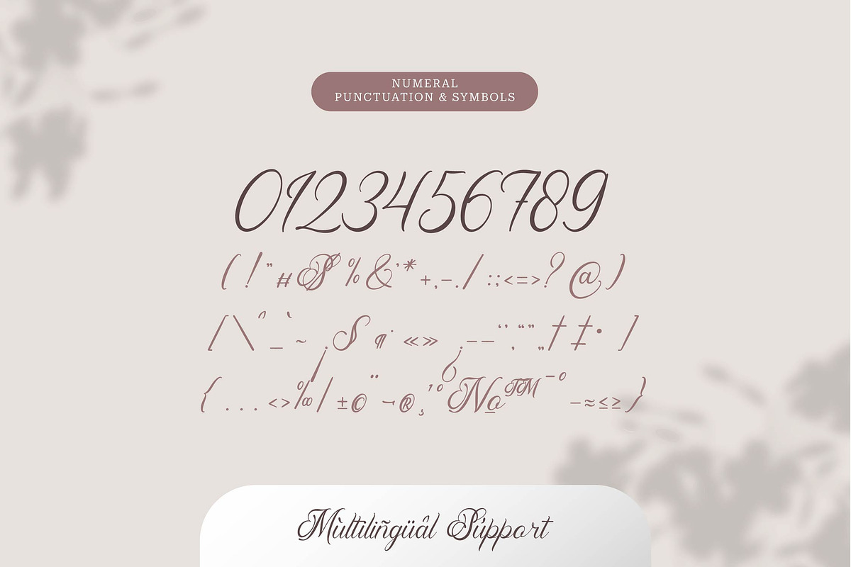 Pimfloth Bartauly | Beauty Script, a Script Font by Denustudios (Photo 11 of 13)
