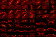 Abstract Plexus SciFi Backgrounds, a Background Graphic by RDShop (Thumbnail 8 of 10)