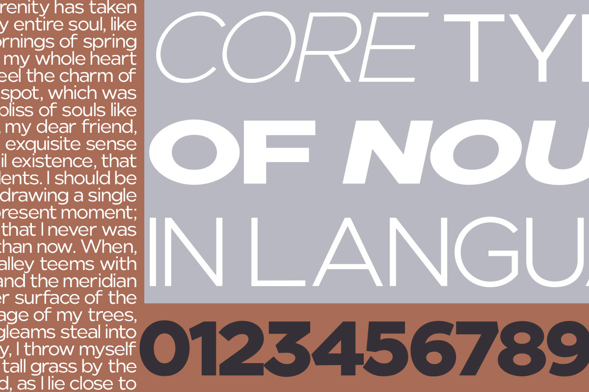 Nunito Flex Pro (54 Font), a Sans Serif Font by Positive TypeFoundry (Photo 13 of 13)