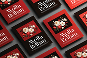 Aerisa, a Serif Font by Design House (Thumbnail 2 of 3)