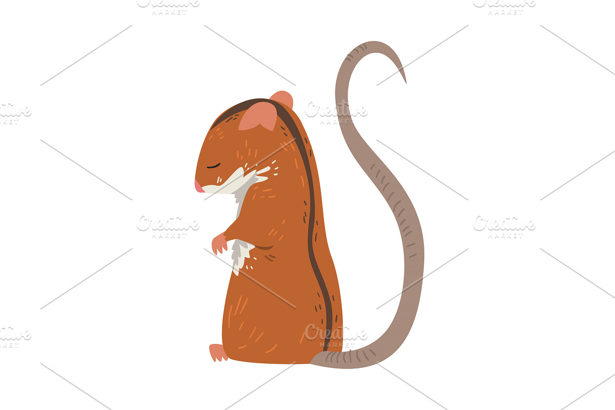 Field Mouse Standing on Hind Legs, an Animal Illustration by TopVectors