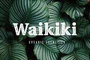 Fjord - Soft Fat Serif Font, a Serif Font by Studio Aurora (Thumbnail 6 of 10)