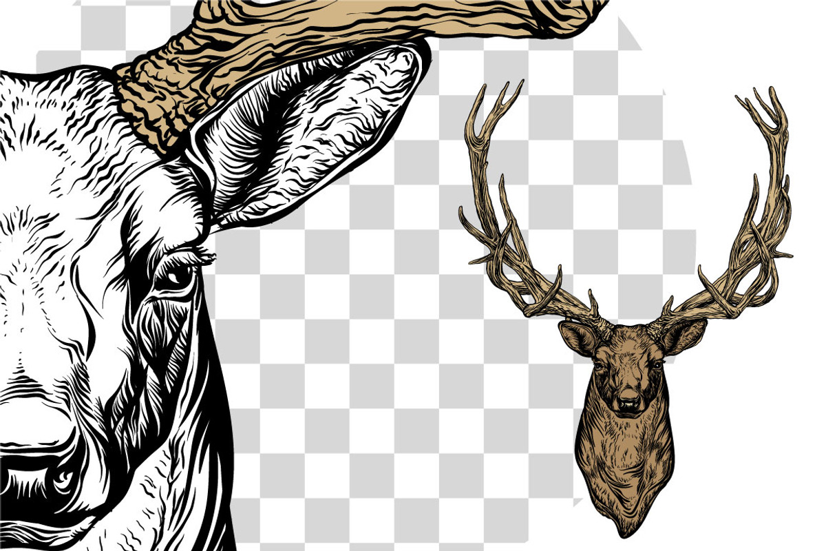 Deer and antlers set., an Object Graphic by ArtOwl (Photo 4 of 4)