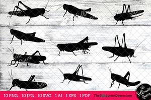 Locust Silhouette Vector Graphics