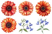 Watercolor Wildflower Clipart Bundle, a Seasonal Illustration by CitraGraphics (Thumbnail 6 of 10)